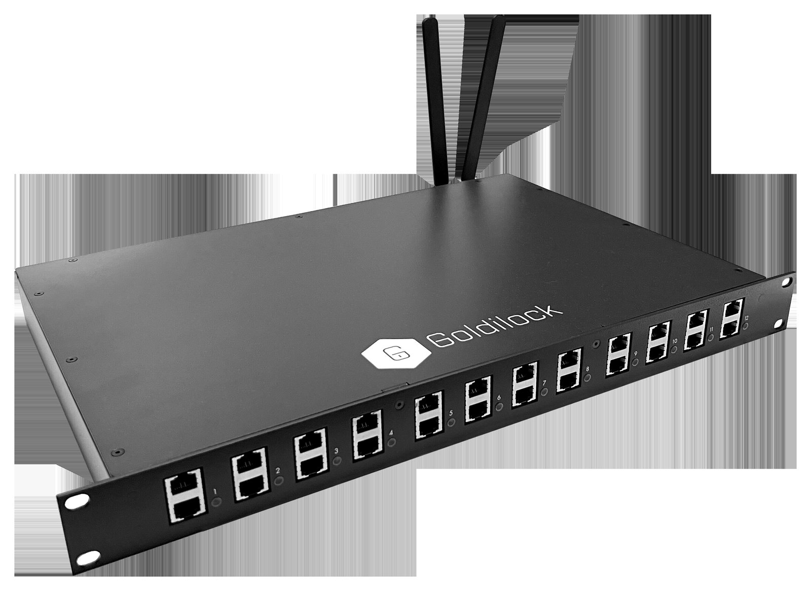 Goldilock FireBreak 12-port rack unit. Its port lights show which systems are connected and which are isolated.